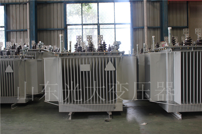 富蕴S20-500KVA/10KV